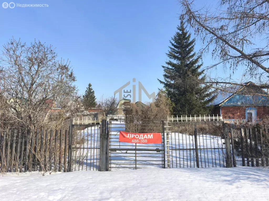 Участок в Омск, садоводческое некоммерческое товарищество Лотос (4.34 ... - Фото 1