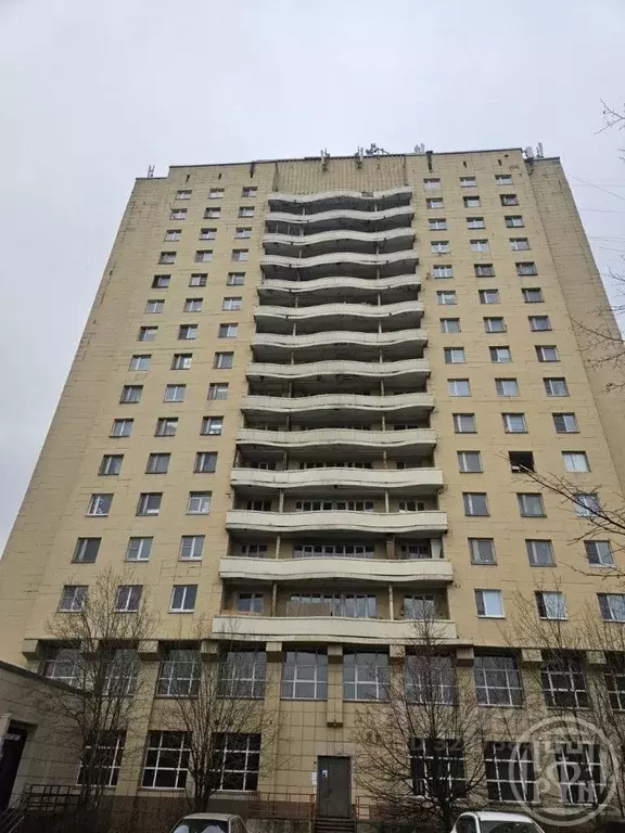 Комната Санкт-Петербург ул. Руставели, 37 (244.8 м) - Фото 1