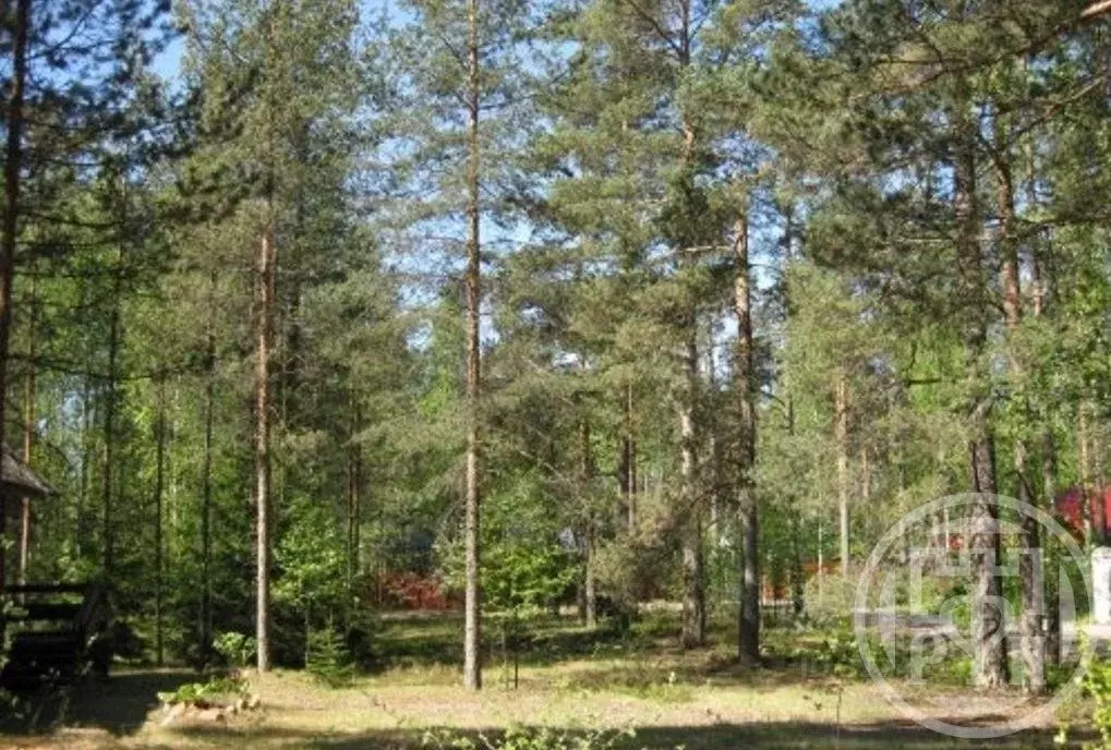 Дом в Ленинградская область, Выборгский район, Первомайское с/пос, ... - Фото 1