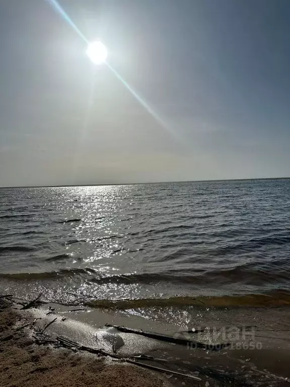 Участок в Псковская область, Гдов городское поселение, д. Луневщина  ... - Фото 2