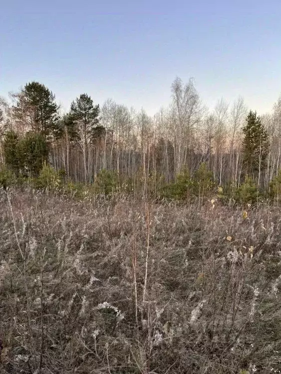 Участок в Иркутская область, Иркутский муниципальный округ, с. ... - Фото 1