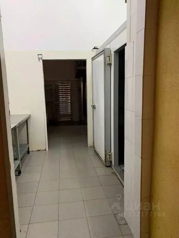 Помещение свободного назначения в Краснодарский край, Сочи Центральный ... - Фото 1