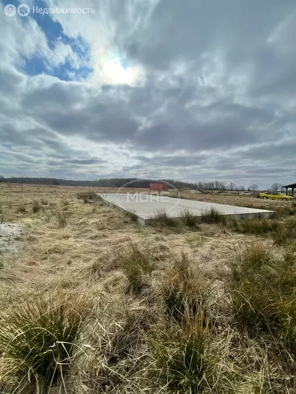 Участок в Калининградская область, Гурьевский муниципальный округ, ... - Фото 1