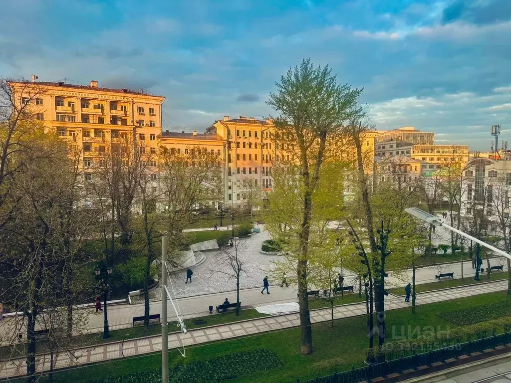 6-к кв. Москва Чистопрудный бул., 10С1 (245.8 м) - Фото 2