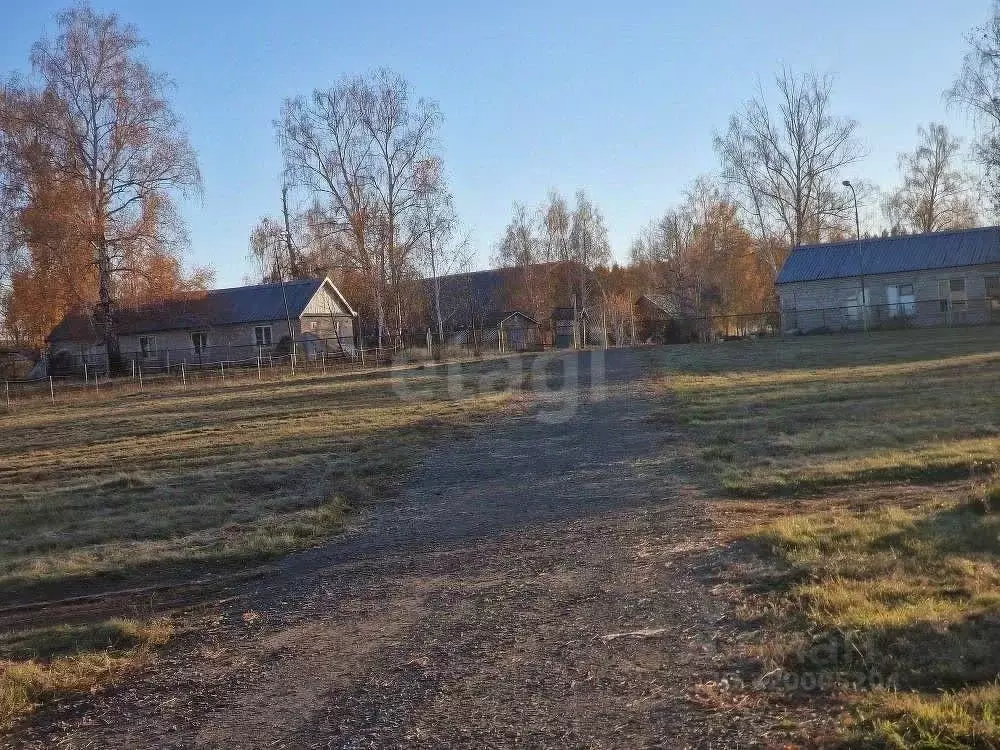 Склад в Башкортостан, Чишминский район, Кара-Якуповский сельсовет, с. ... - Фото 1