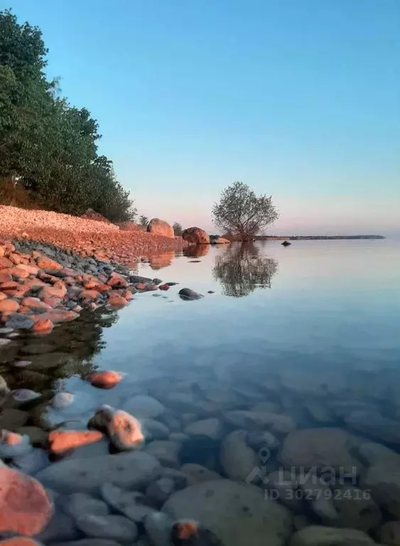 Участок в Новгородская область, Новгородский район, Ермолинское с/пос, ... - Фото 0