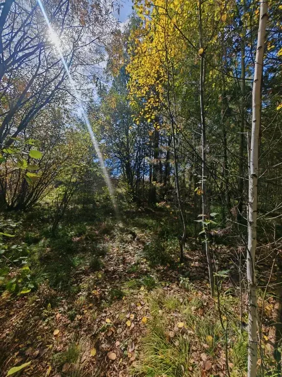 Участок в Иркутская область, Иркутск Славный мкр, ул. Сосновая Горка ... - Фото 2