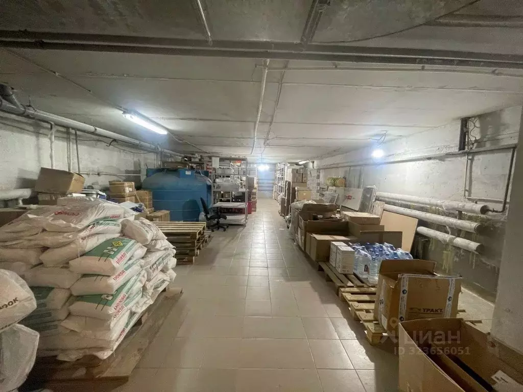 Помещение свободного назначения в Татарстан, Казань Петербургская ул., ... - Фото 2