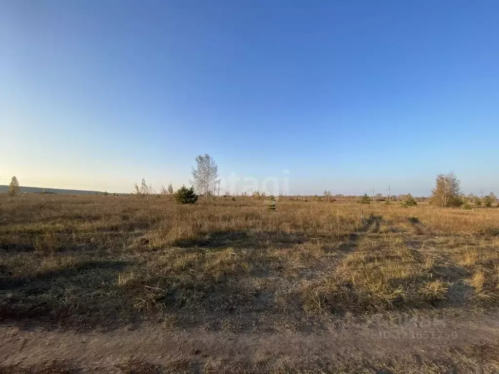 Участок в Ульяновская область, Ульяновск ул. Лебединая (8.0 сот.) - Фото 1