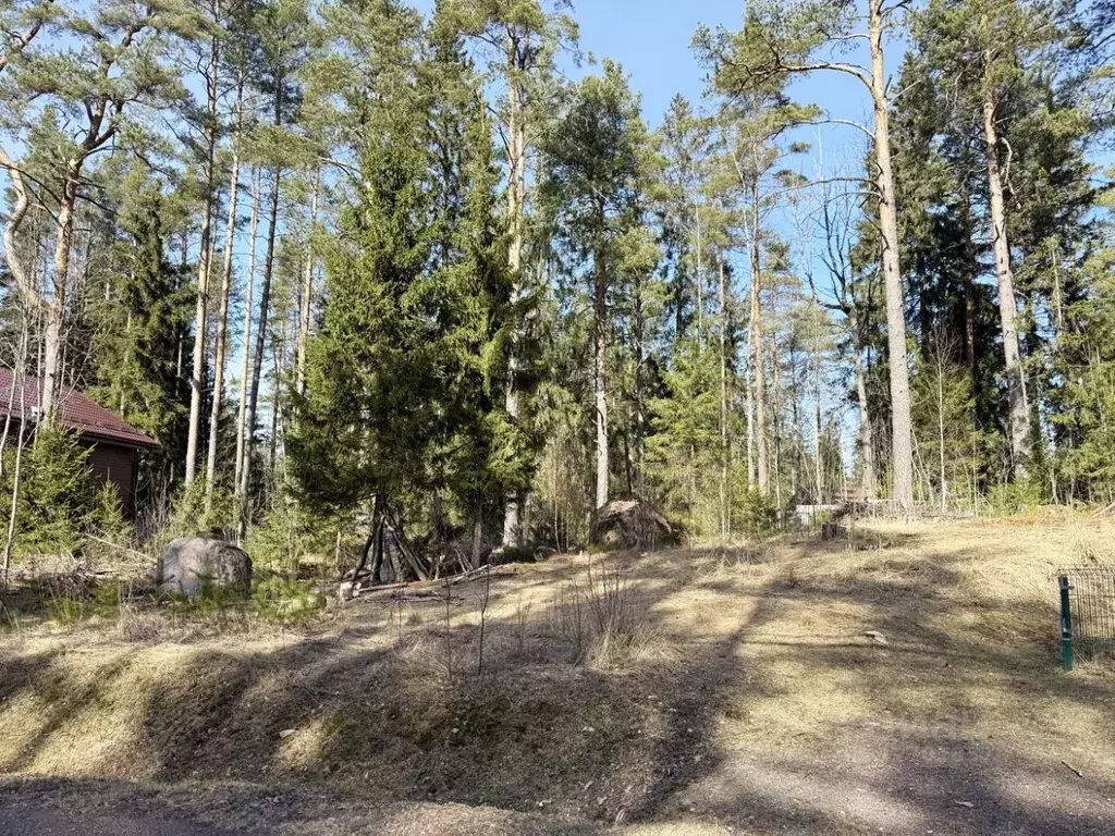 Участок в Ленинградская область, Выборгский район, Приморское ... - Фото 2