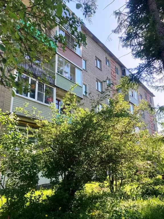 1-к кв. Владимирская область, Кольчугино ул. 50 лет Октября, 26 (30.0 ... - Фото 1