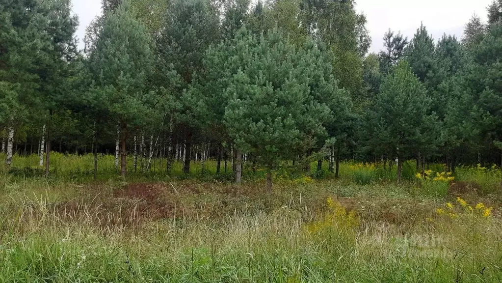 Участок в Удмуртия, Завьяловский район, Соловушки ДНТ ул. Тенистая, 18 ... - Фото 1