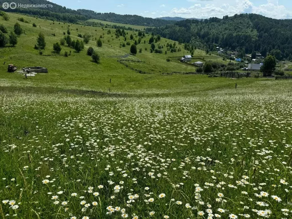 Участок в Майминский район, село Кызыл-Озек (9.5 м) - Фото 0