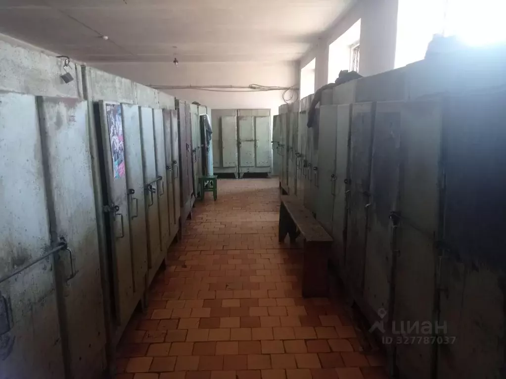 Помещение свободного назначения в Алтайский край, Яровое Заводская ... - Фото 1