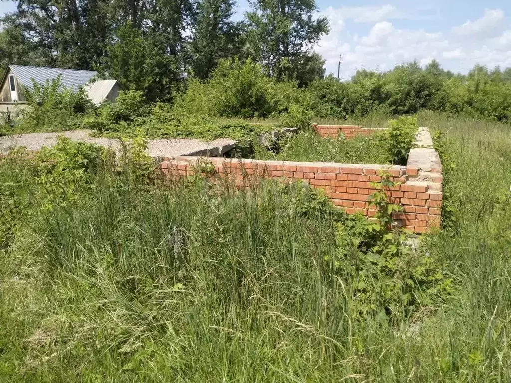 Участок в Мордовия, пос. Ромоданово ул. Степана Разина (1500.0 сот.) - Фото 0
