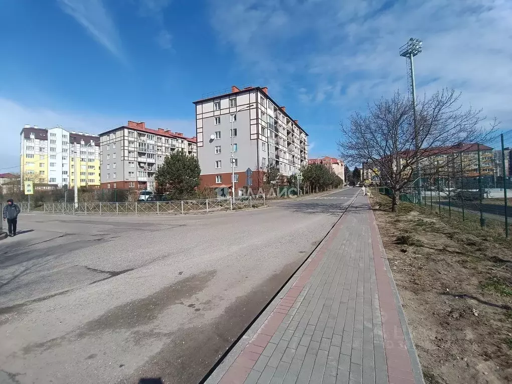 1-к кв. Калининградская область, Светлогорск Яблоневая ул., 11 (36.6 ... - Фото 1