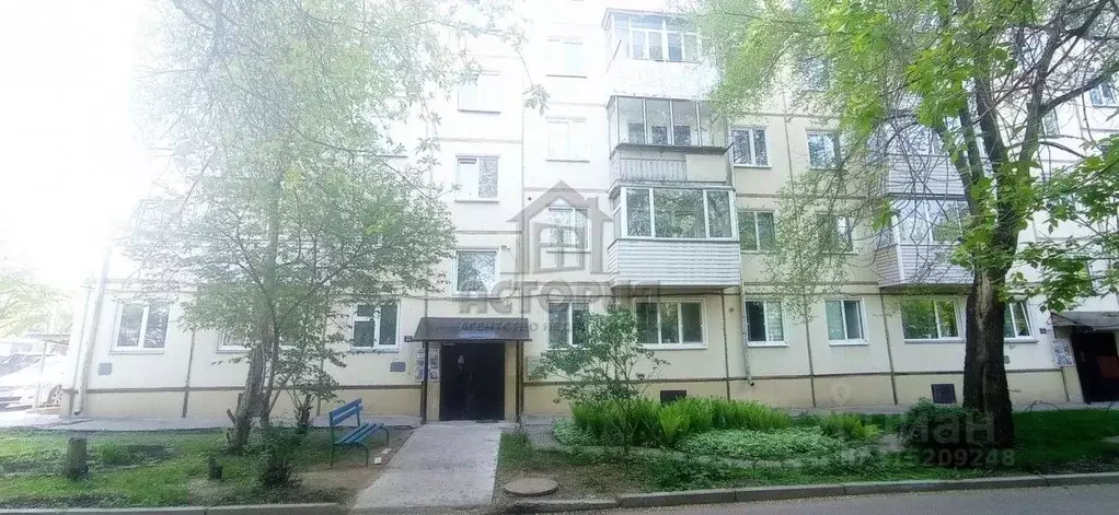 2-к кв. Красноярский край, Красноярск ул. Академгородок, 1 (45.0 м) - Фото 0