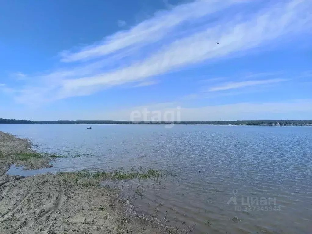 Участок в Новосибирская область, Искитимский район, Мичуринский ... - Фото 1