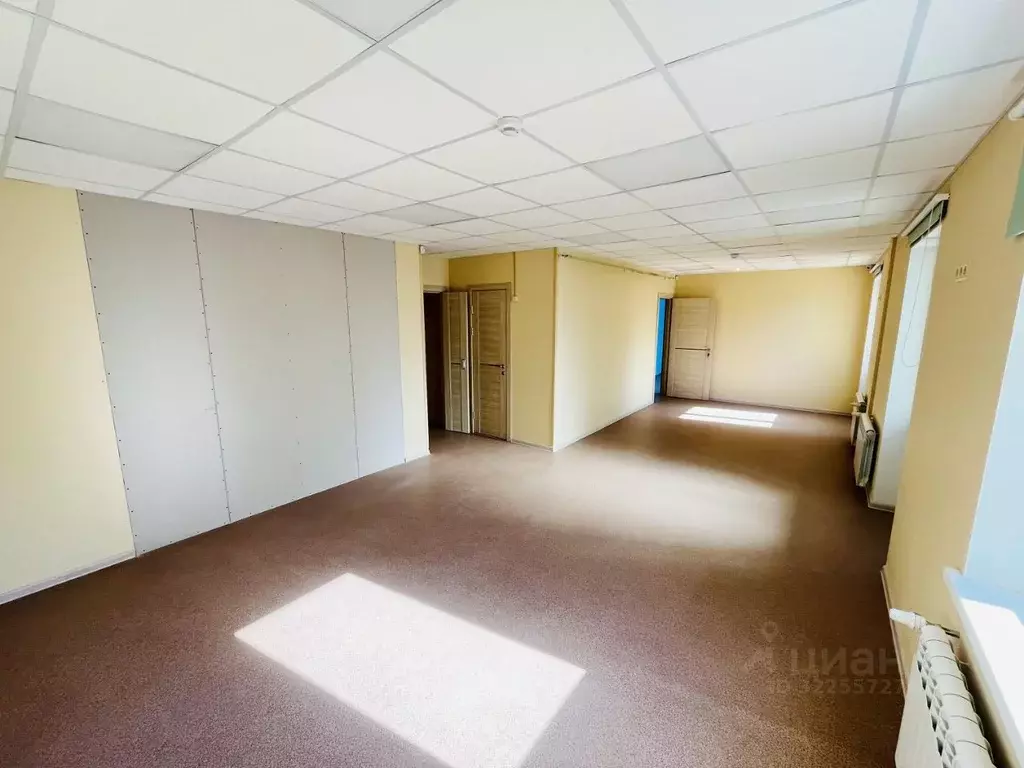 Помещение свободного назначения в Саратовская область, Саратов ул. ... - Фото 0