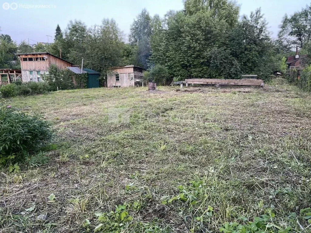 Участок в Новосибирск, СТ Берёзовая Роща, 99 (6 м) - Фото 1