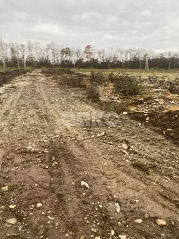 Участок в Адыгея, Майкоп городской округ, пос. Западный ул. Полевая ... - Фото 1