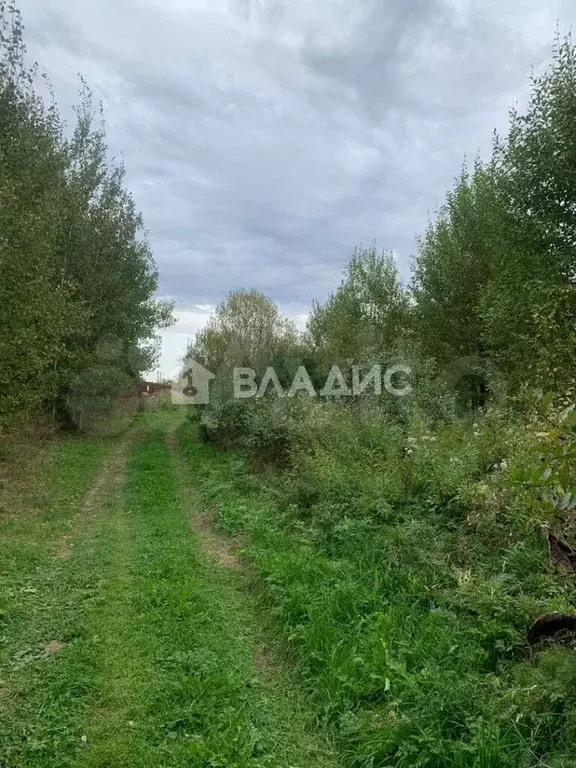 Участок 11 сот. (личное подсобное хозяйство (лпх)) - Фото 1