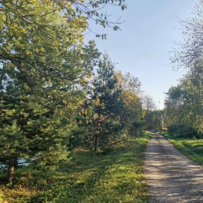 Продается участок в д. Васильево - Фото 2