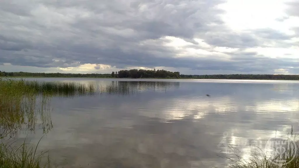 Участок в Ленинградская область, Лужский район, Скребловское с/пос, д. ... - Фото 2