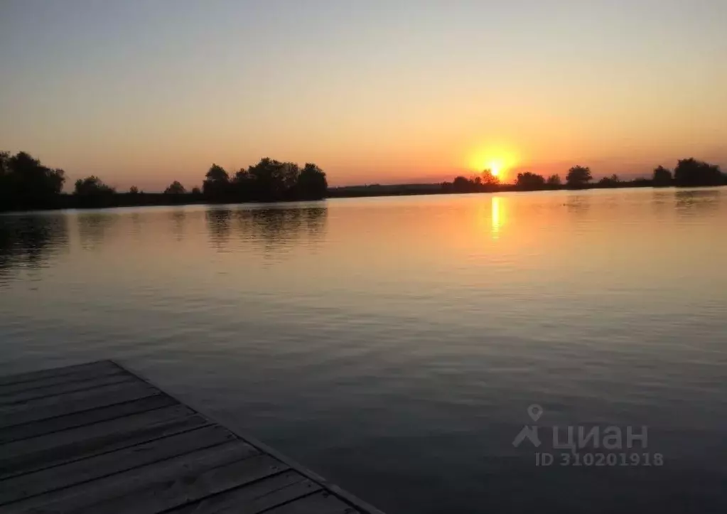 Участок в Краснодарский край, Новороссийск муниципальное образование, ... - Фото 0