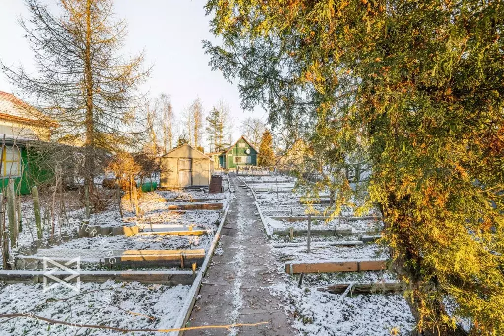 Участок в Санкт-Петербург пос. Парголово, Климовец СНТ, ул. Северная, ... - Фото 1