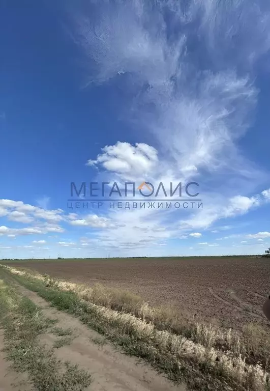 Участок в Саратовская область, Балаковский район, с. Натальино ул. ... - Фото 0