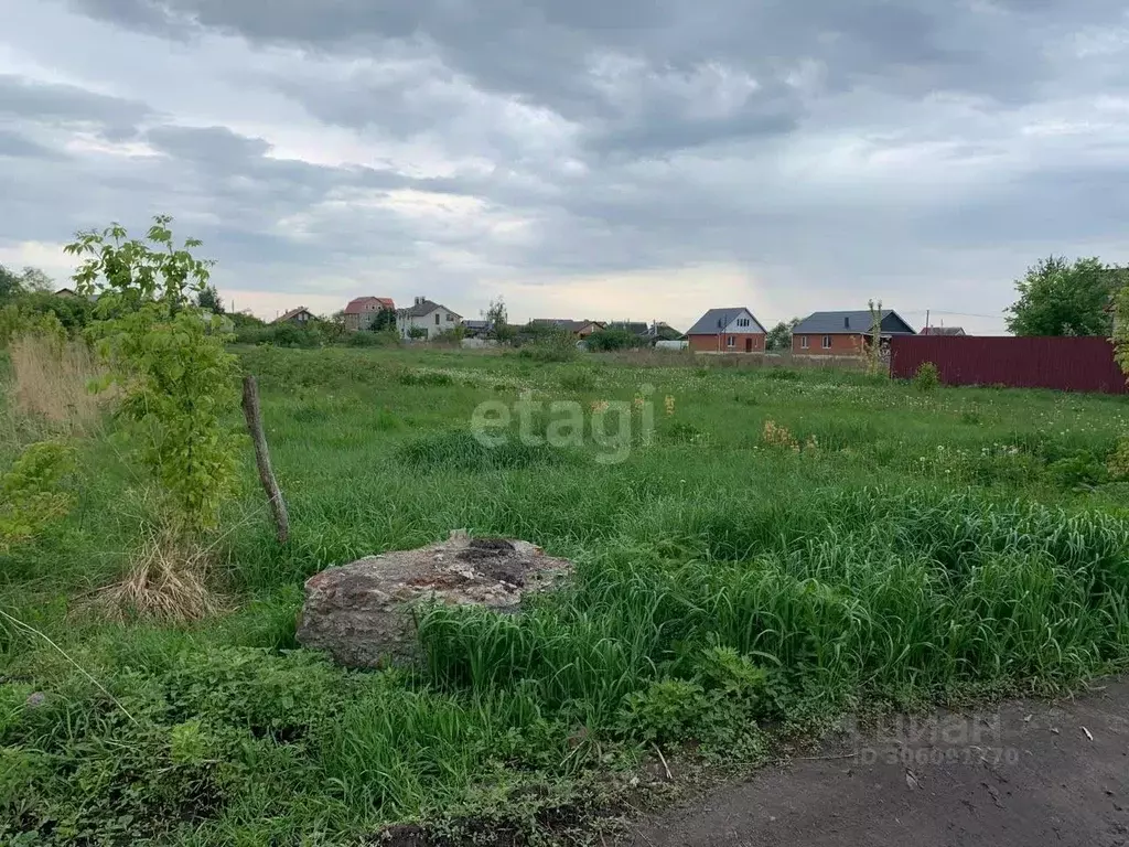 Участок в Воронежская область, Новоусманский район, с. Бабяково ... - Фото 0