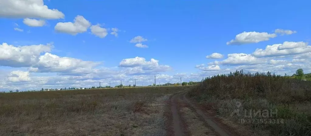 Участок в Самарская область, Кинельский район, Малая Малышевка с/пос, ... - Фото 1