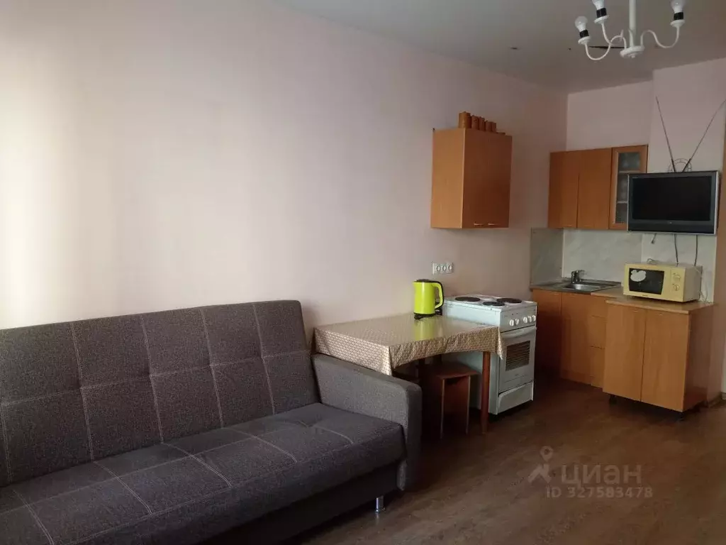 Студия Иркутская область, Иркутск Радужный мкр, 75 (24.0 м) - Фото 1