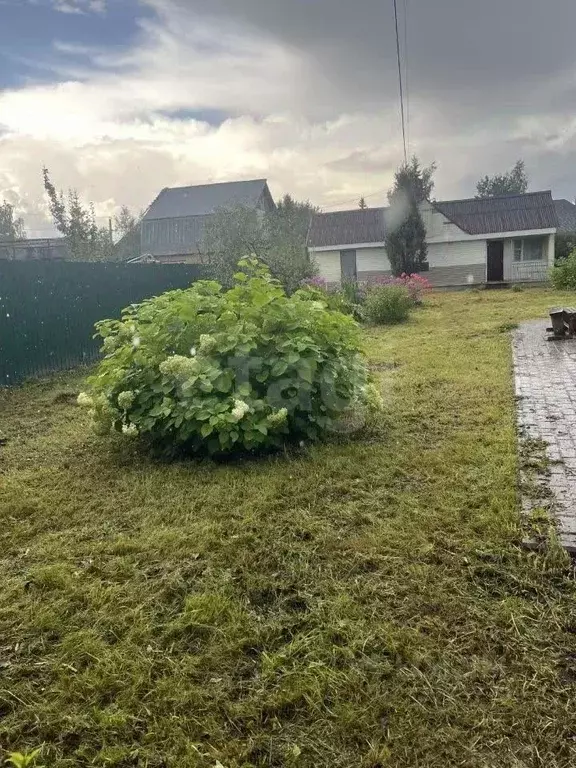 Участок в Московская область, Долгопрудный Мичуринец-4 СНТ, 8 (8.0 ... - Фото 1