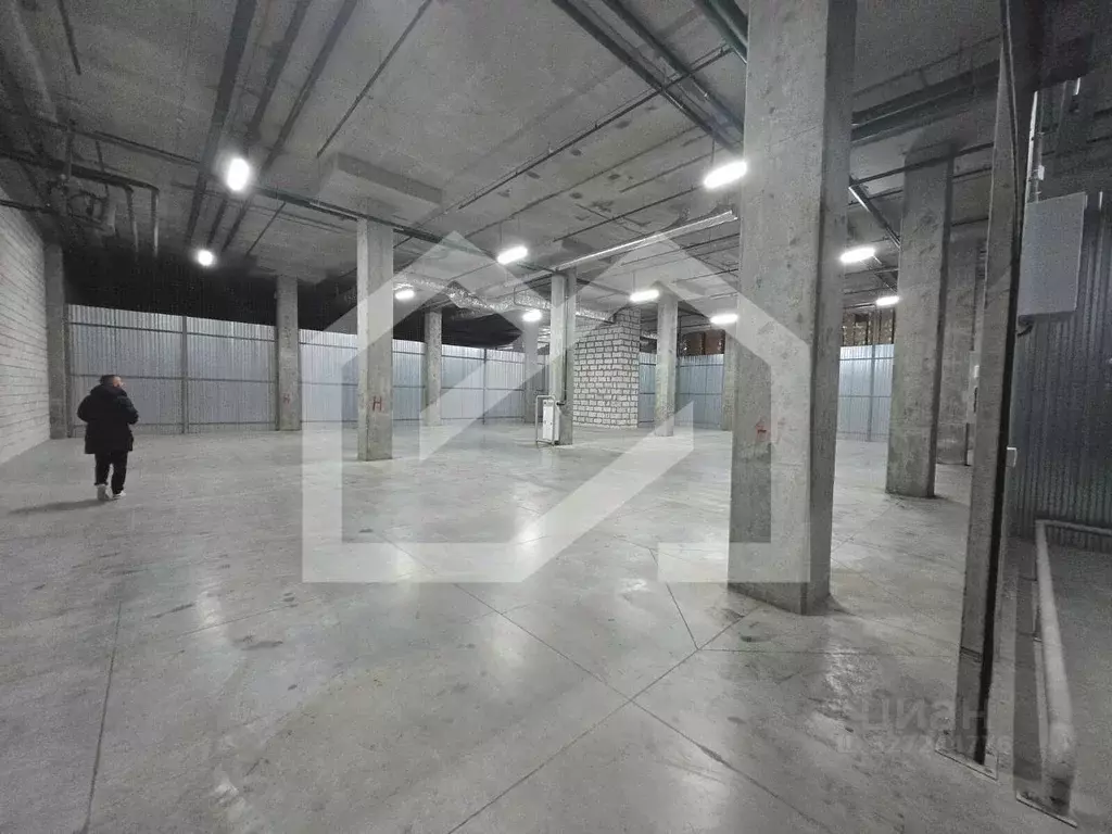 Помещение свободного назначения в Москва д. Мамыри, 1Д (387 м) - Фото 2