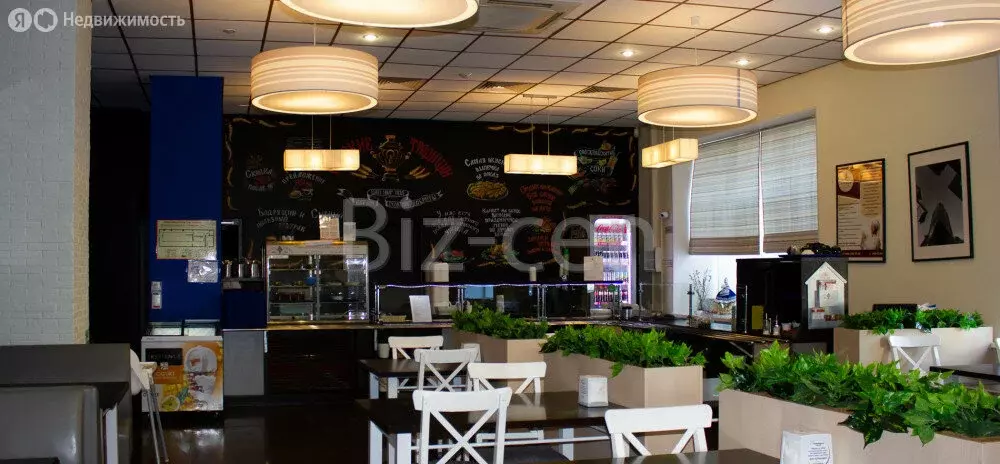 Офис (45.1 м) - Фото 2