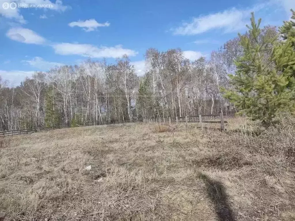 Участок в Тюменский район, село Каменка (20.2 м) - Фото 1