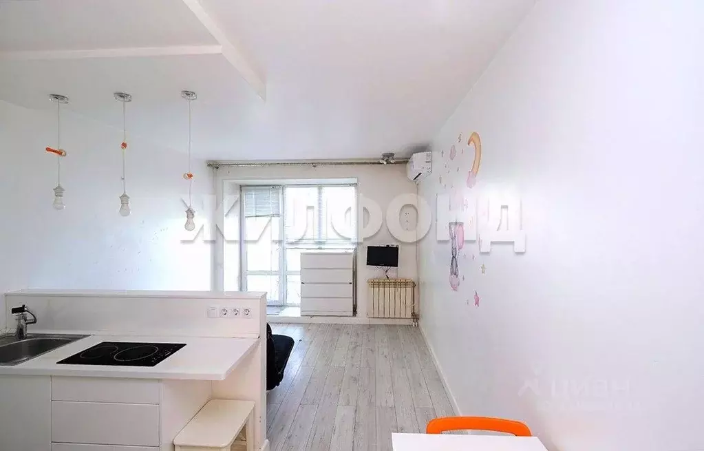 1-к кв. Новосибирская область, Новосибирск Кубовая ул., 115/1 (20.8 м) - Фото 1