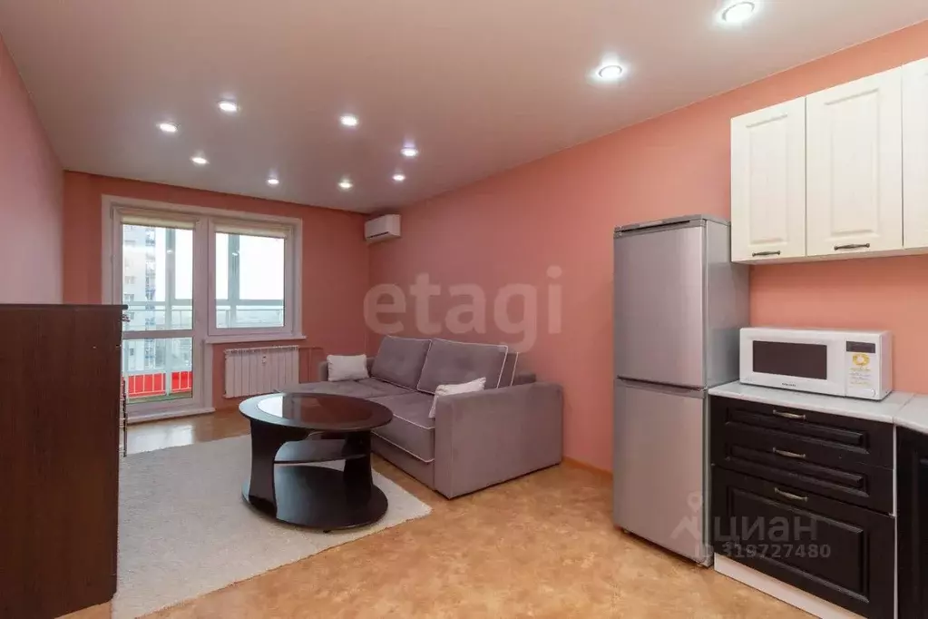 Студия Красноярский край, Красноярск наб. Ярыгинская, 9 (27.1 м) - Фото 1
