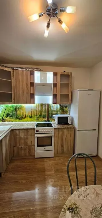 1-к кв. Санкт-Петербург Парашютная ул., 61к4 (36.4 м) - Фото 1