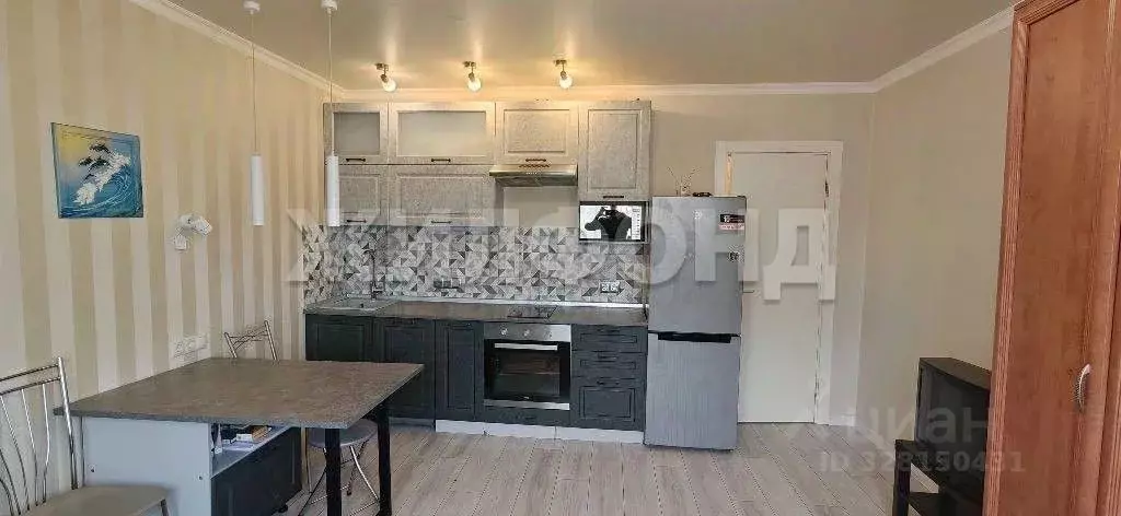 Студия Санкт-Петербург просп. Королева, 62 (25.5 м) - Фото 1