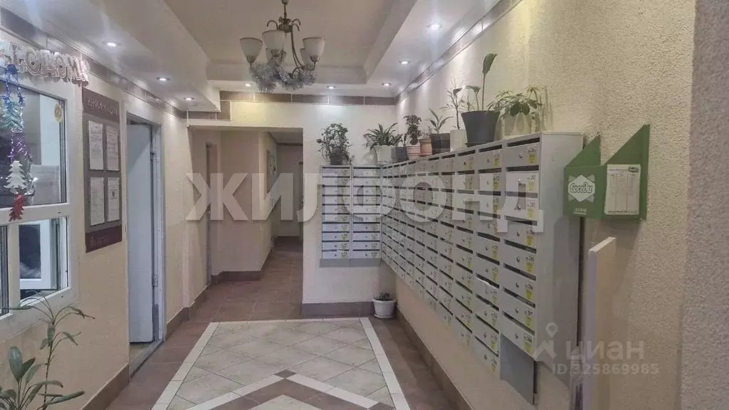 Студия Новосибирская область, Новосибирск ул. Державина, 92 (28.0 м) - Фото 1