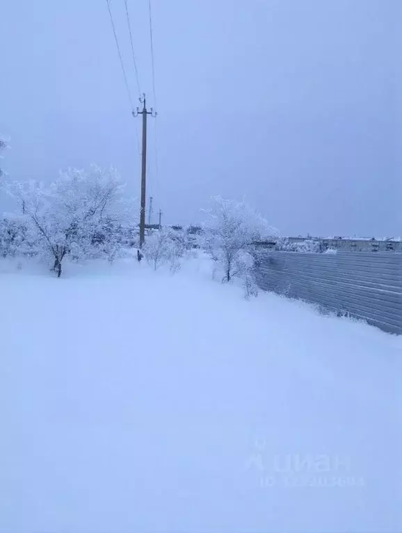 Участок в Амурская область, Серышевский муниципальный округ, с. ... - Фото 1