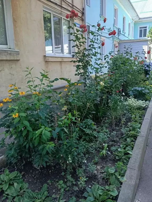1-к кв. Адыгея, Майкоп Краснооктябрьская ул., 40А (27.5 м) - Фото 2