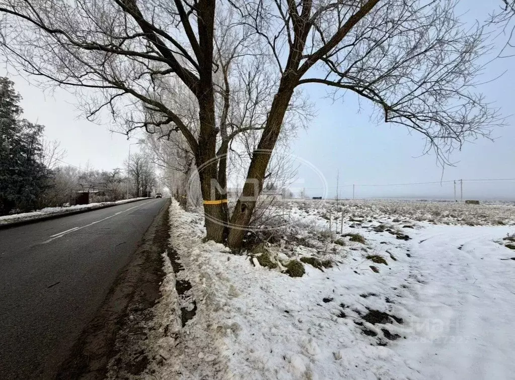 Участок в Калининградская область, Гурьевский муниципальный округ, ... - Фото 1