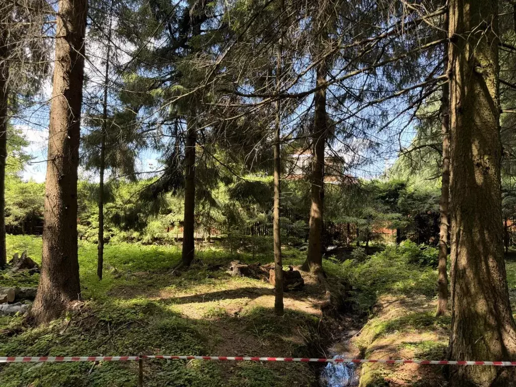 Участок в Московская область, Солнечногорск городской округ, Покров ... - Фото 0