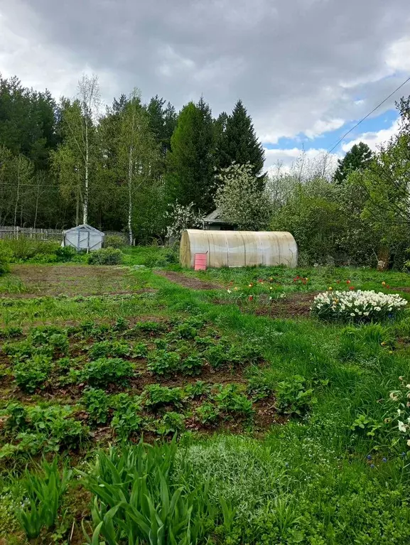 Участок 7 сот. (СНТ, ДНП) - Фото 1