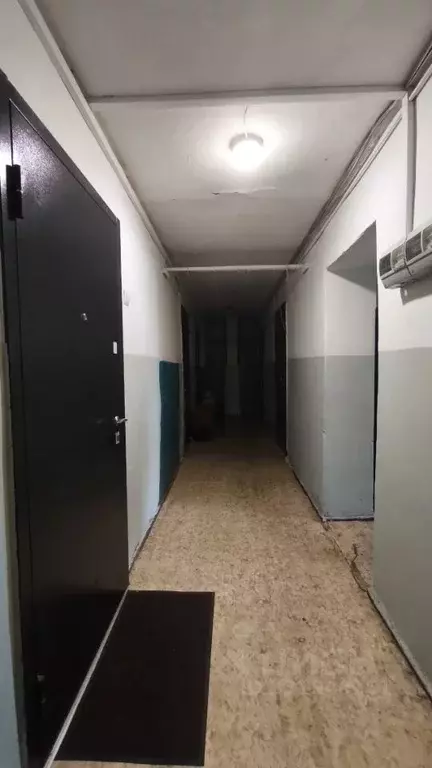Студия Алтайский край, Барнаул городской округ, Южный рп ул. ... - Фото 2