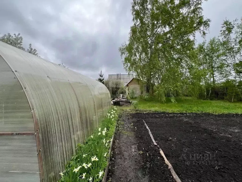 Участок в Курганская область, Кетовский муниципальный округ, Надежда ... - Фото 1